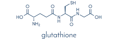 글루타치온: 건강과 피로 회복에 도움을 주는 비밀 무기